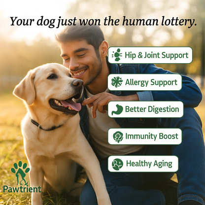Pawtrient Dog Multivitamin Supplement